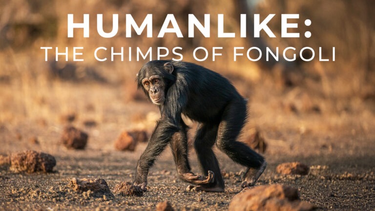 WhatsApp Image 2026-02-09 at 10.42.35 PM (3)